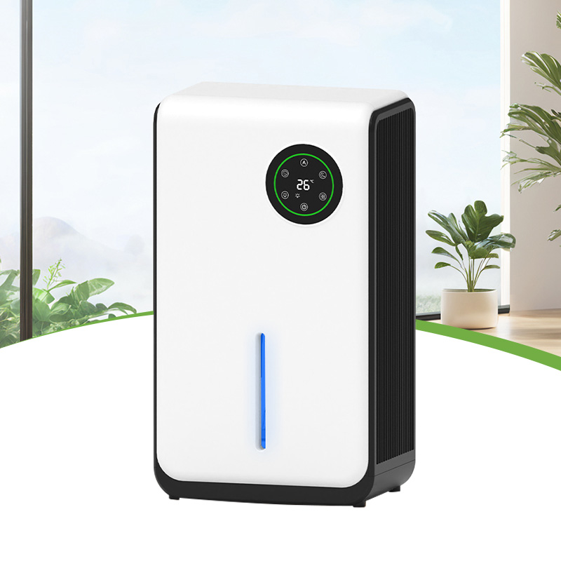 Peltier Dehumidifier