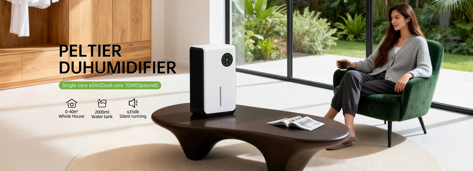 PELTIER DUHUMIDIFIER