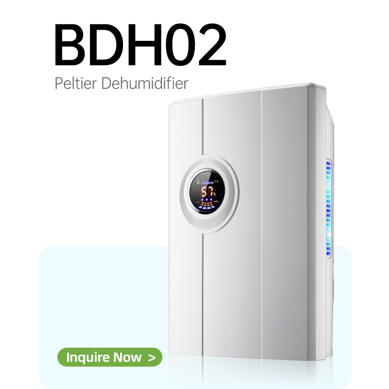 BG-DH02 Basic model without display