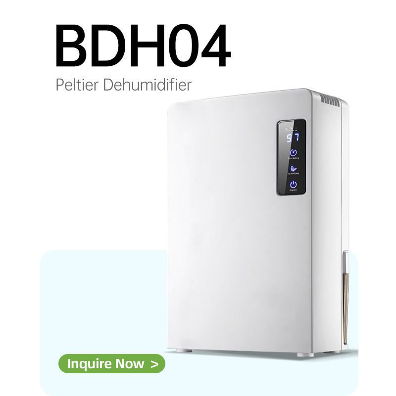 BG-DH04 Peltier Dehumidifier