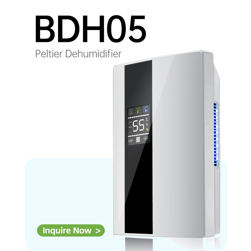 BG-DH05 Peltier Dehumidifier
