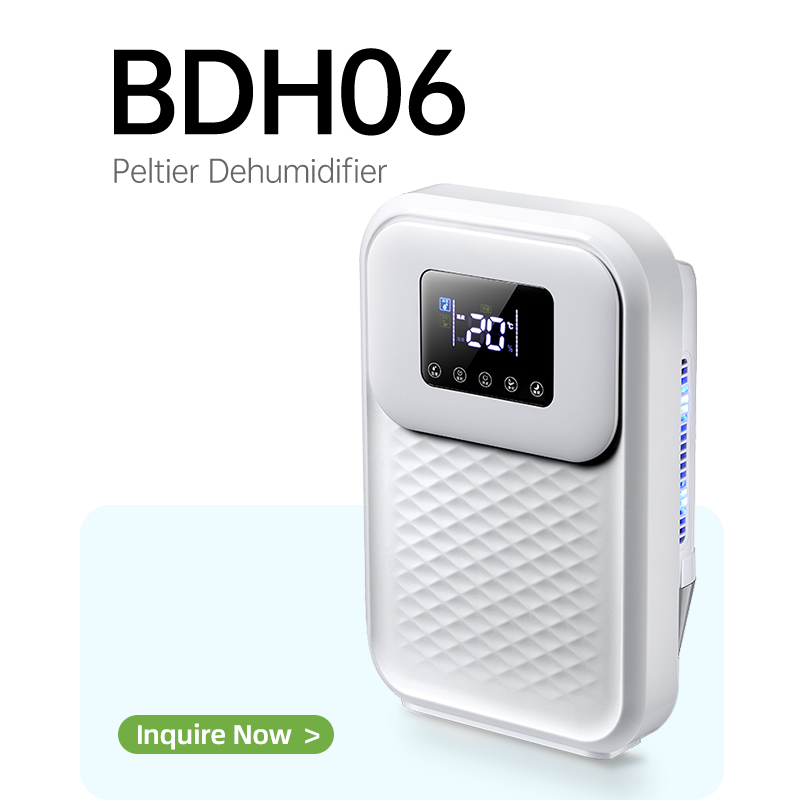 BG-DH06 Peltier Dehumidifier