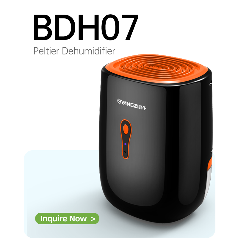 BG-DH07 Peltier Dehumidifier