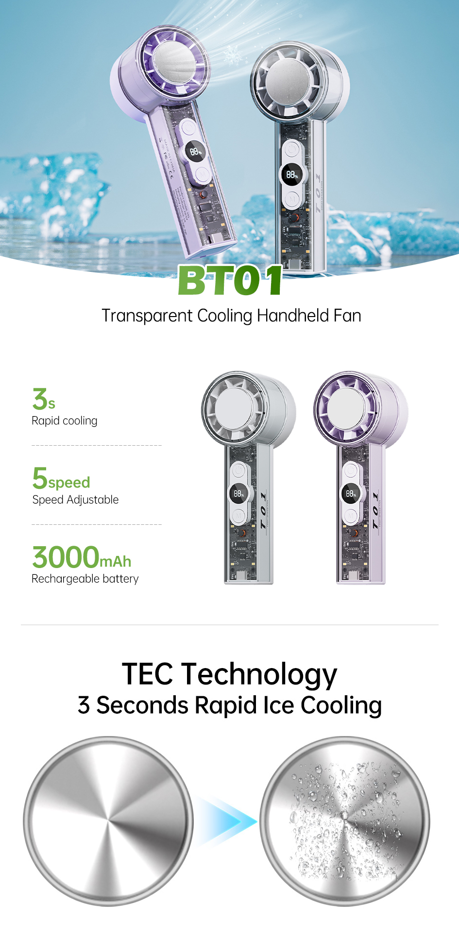 BT01.jpg